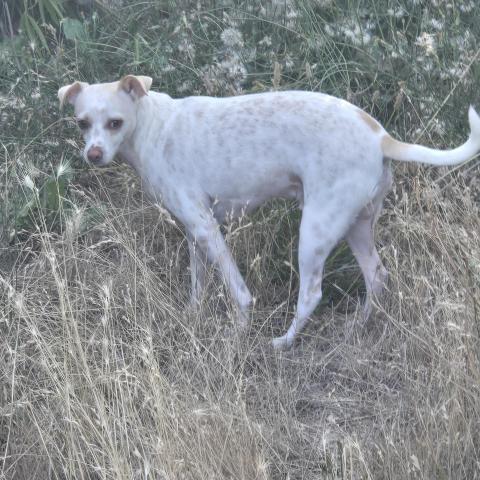 Photo for 162073 [Blumbo]