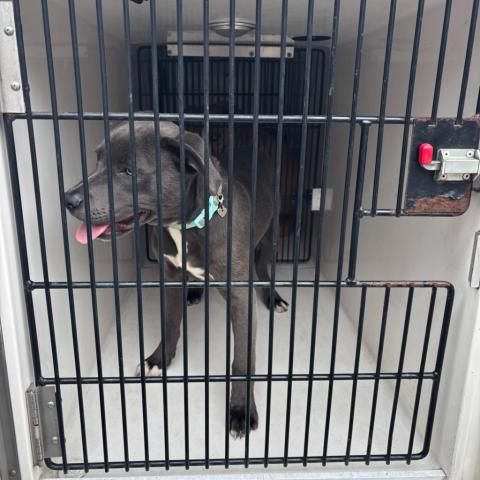 Photo for 162075 [391649]