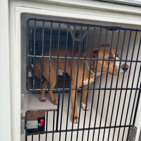 Photo for 162077 [391650]