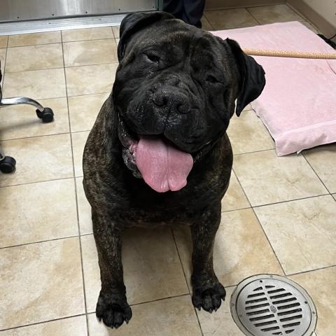 Photo for 162083 [Kaushen]