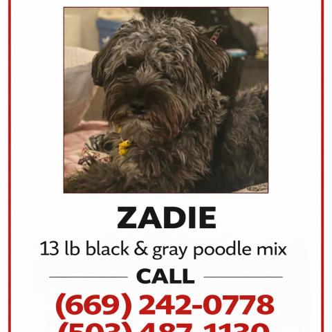 Photo for 162105 [Zadie]