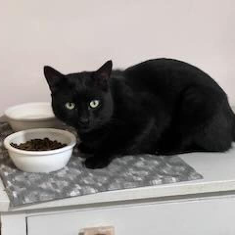 Photo for 162114 [Frankie machine]