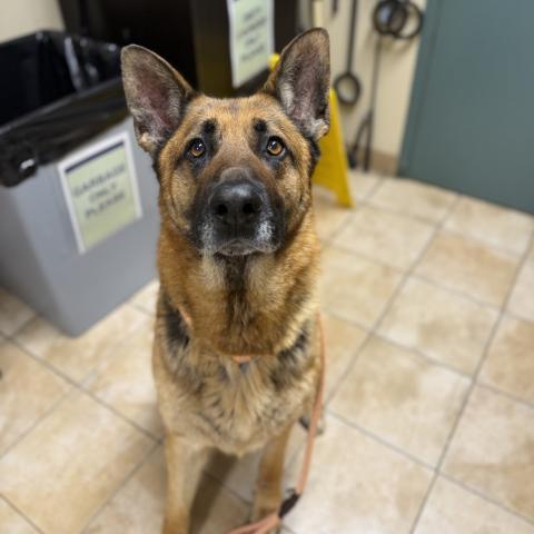 Photo for 162132 [Caisson]