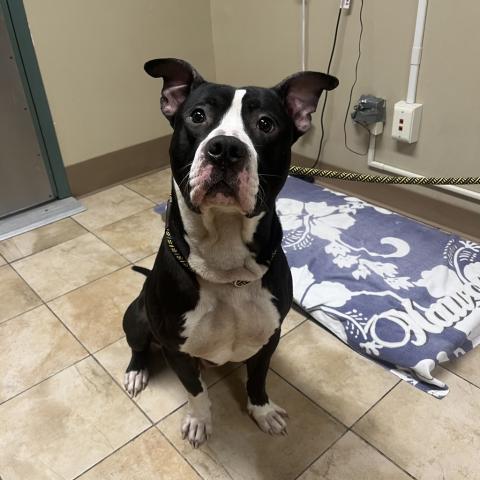 Photo for 162157 [Project Manager]