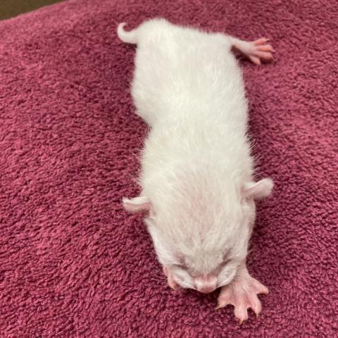 Photo for 162170 [347841]