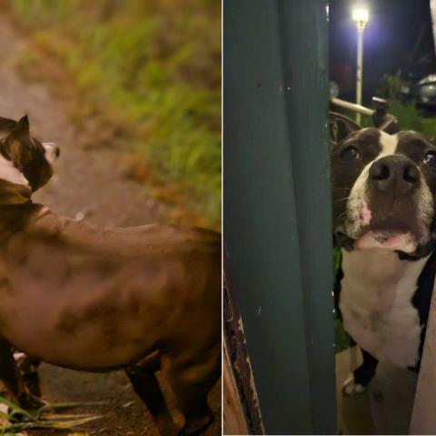 Photo for 162180 [fr162180]