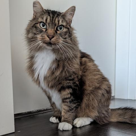 Photo for 162184 [Medusa]