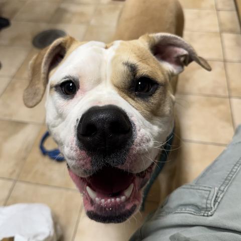 Photo for 162252 [Penelope]