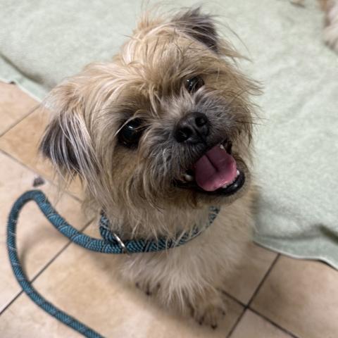 Photo for 162272 [Louise]