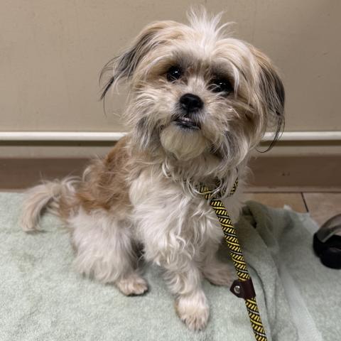 Photo for 162274 [Ethel]