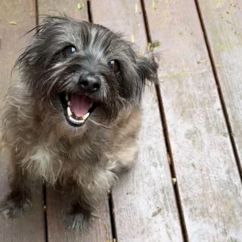 Photo for 162295 [Unknown]