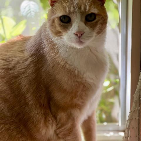 Photo for 162306 [Bernard ]