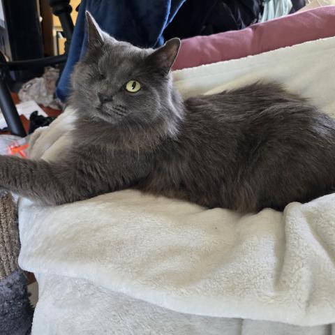 Photo for 162308 [Arthur]