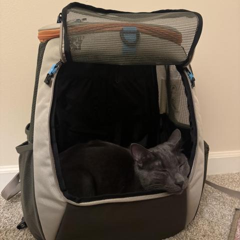 Photo for 162318 [fr162318]