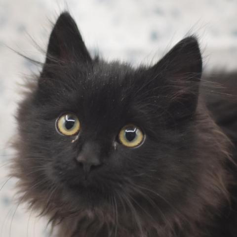 Photo for 162322 [348005]