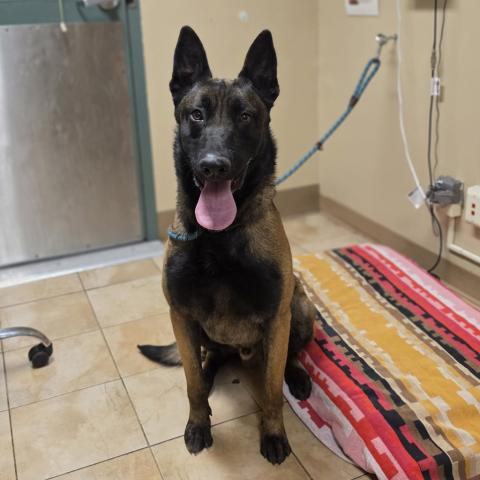 Photo for 162360 [Gatorade]