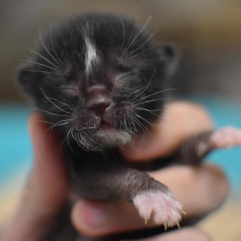 Photo for 162414 [348077]