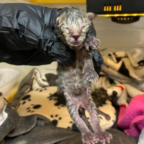 Photo for 162418 [348076]