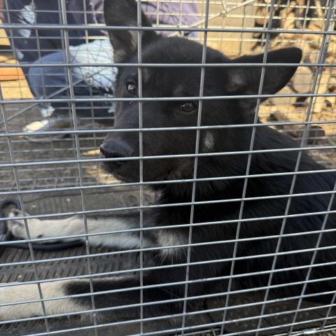 Photo for 162423 [fr162423]