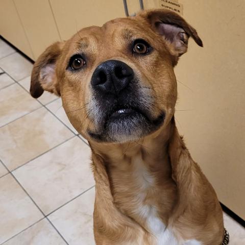 Photo for 162436 [James Mcdivitt]