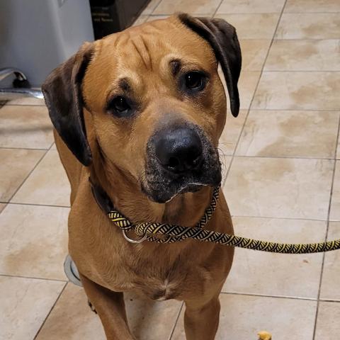 Photo for 162459 [Wolfman Jack]