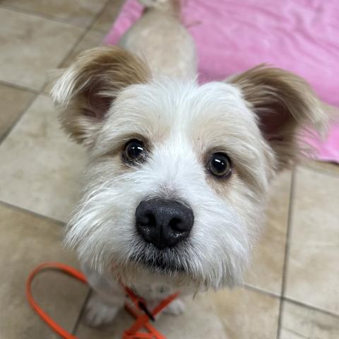 Photo for 162504 [Alister]