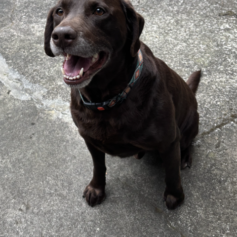 Photo for 162510 [fr162510]