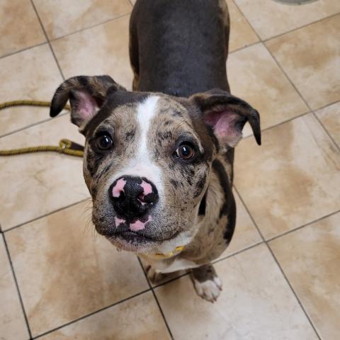 Photo for 162516 [Bagel]