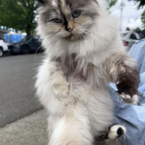 Photo for 162531 [fr162531]