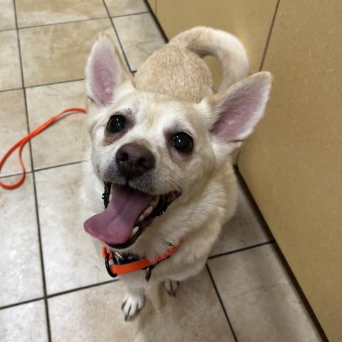 Photo for 162543 [Tanner]