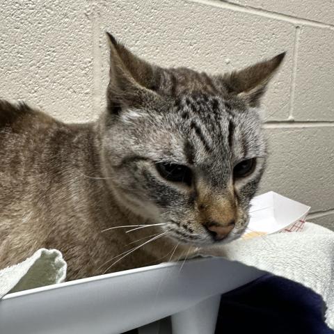 Photo for 162545 [Xander]