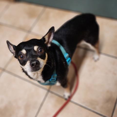 Photo for 162559 [Snickers]