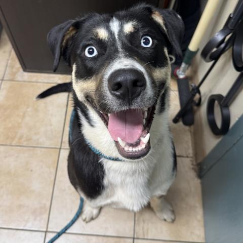 Photo for 162567 [Lunchable]