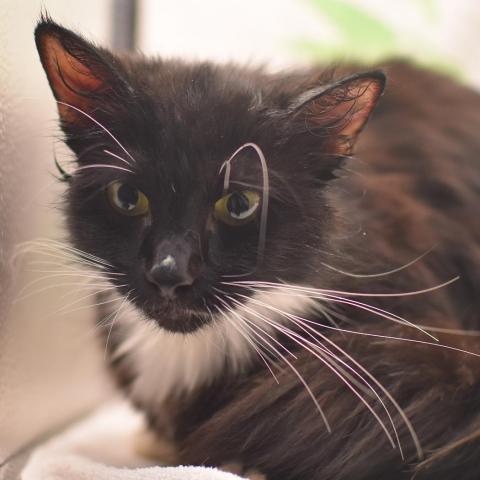 Photo for 162583 [348229]