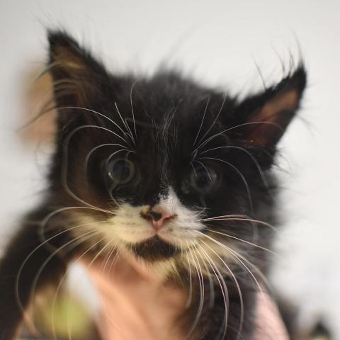 Photo for 162589 [348231]