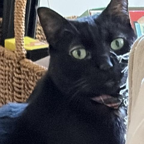 Photo for 162638 [Kevin]