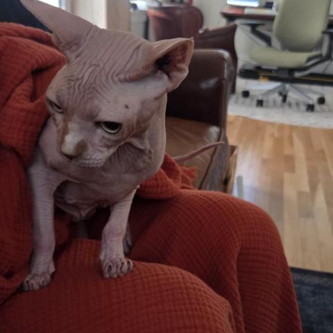 Photo for 162648 [fr162648]