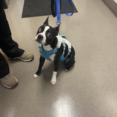 Photo for 162654 [251326]