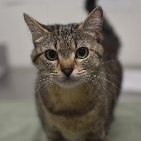 Photo for 162658 [348324]