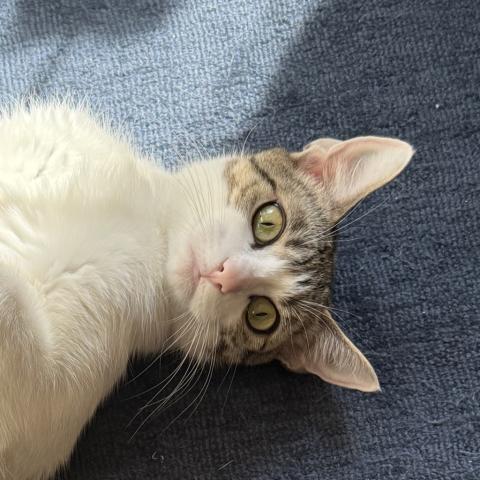 Photo for 170744 [Tina]