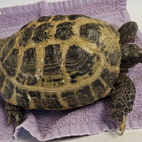 Photo for 172091 [402914]