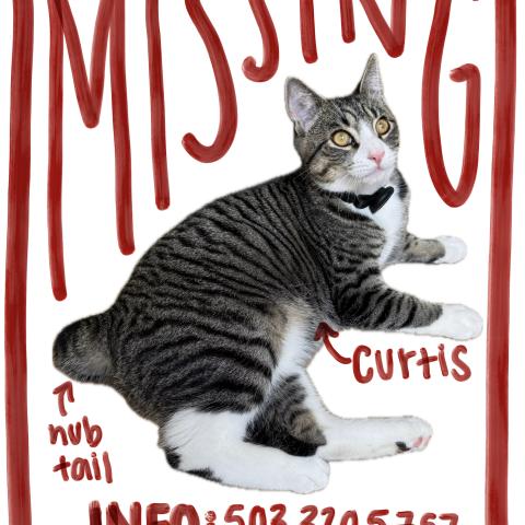 Photo for 172558 [Curtis]