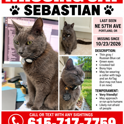 Photo for 175630 [Sebastian]