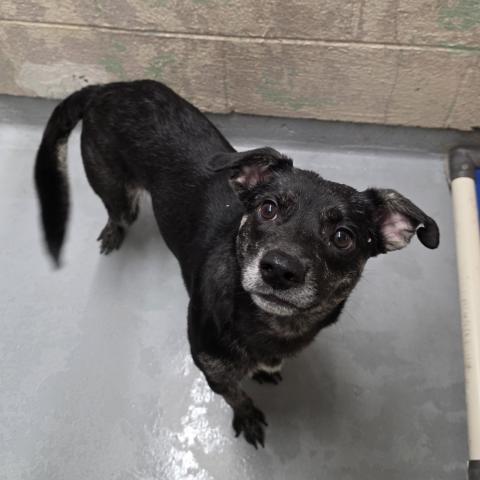 Photo for 175712 [Shakira]