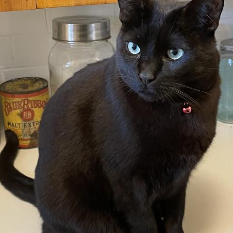 Photo for 26447 [Rob]