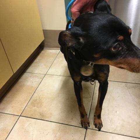 Photo for 26788 [Ashton]