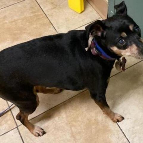 Photo for 26789 [Lola]