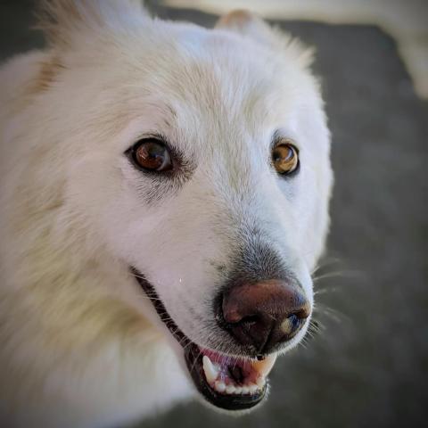 Photo for 71603 [Misty]