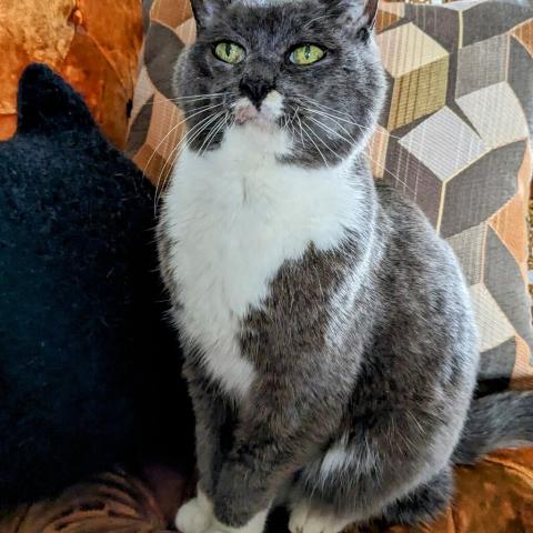 Photo for 81044 [Quinn]