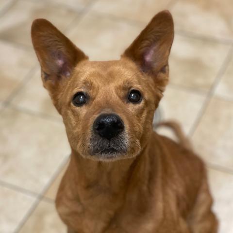 Photo for 82449 [Laurel]